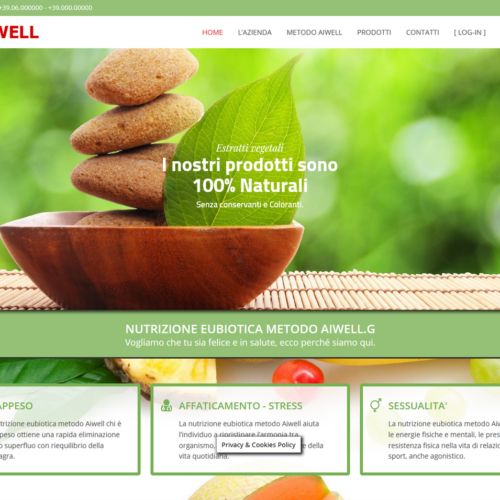 Business management - web communication